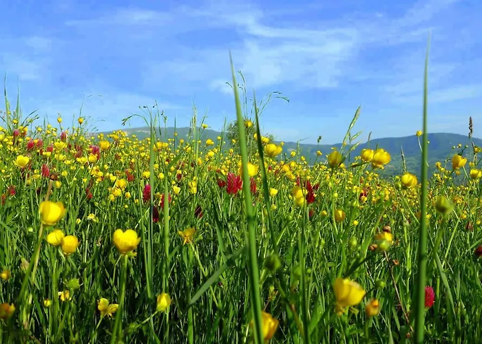 Anwesen Mit Gemeinschaftspool By Interhome * 람포레키오