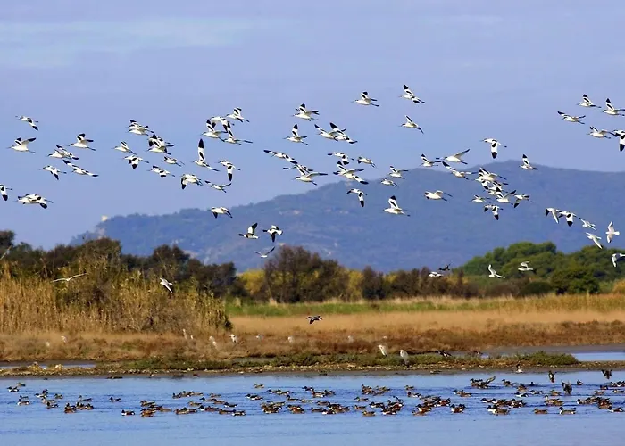 Anwesen Mit Gemeinschaftspool By Interhome 아파트 *
