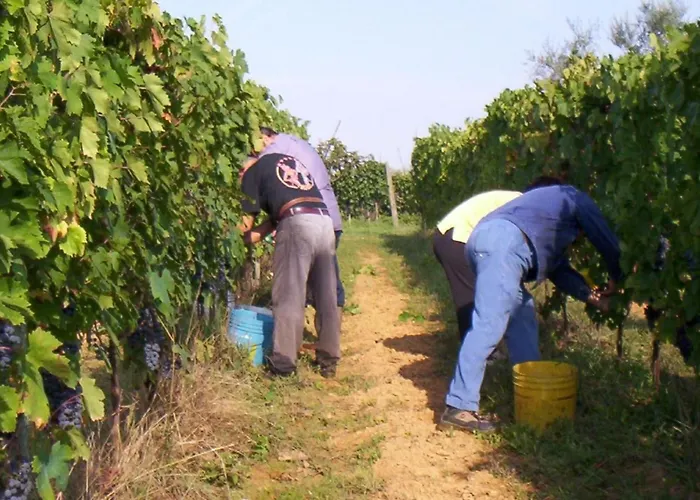 Anwesen Mit Gemeinschaftspool By Interhome * 람포레키오