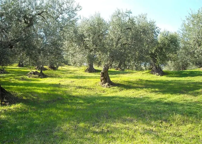 Anwesen Mit Gemeinschaftspool By Interhome *