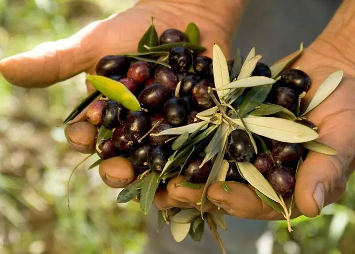 Anwesen Mit Gemeinschaftspool By Interhome *