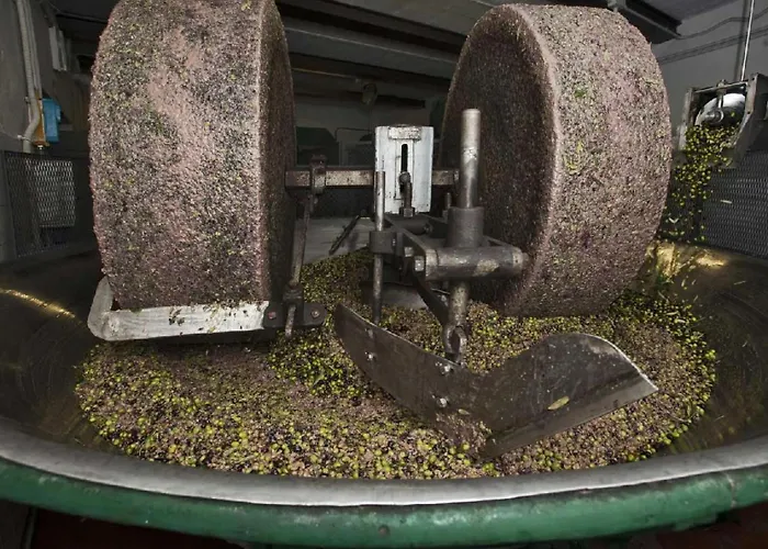 Anwesen Mit Gemeinschaftspool By Interhome *